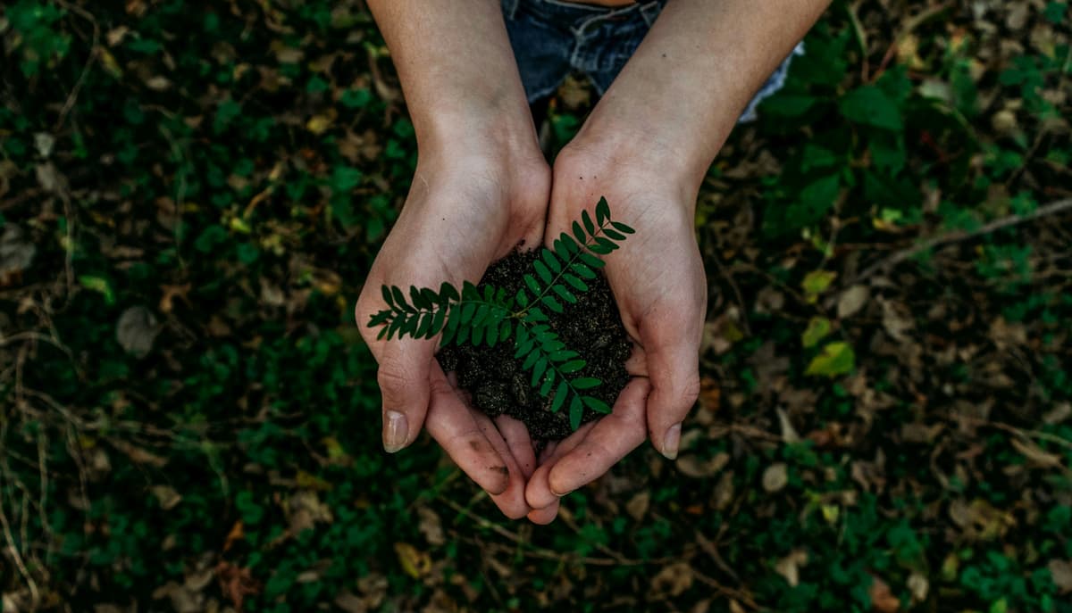 Sustainable Materials
