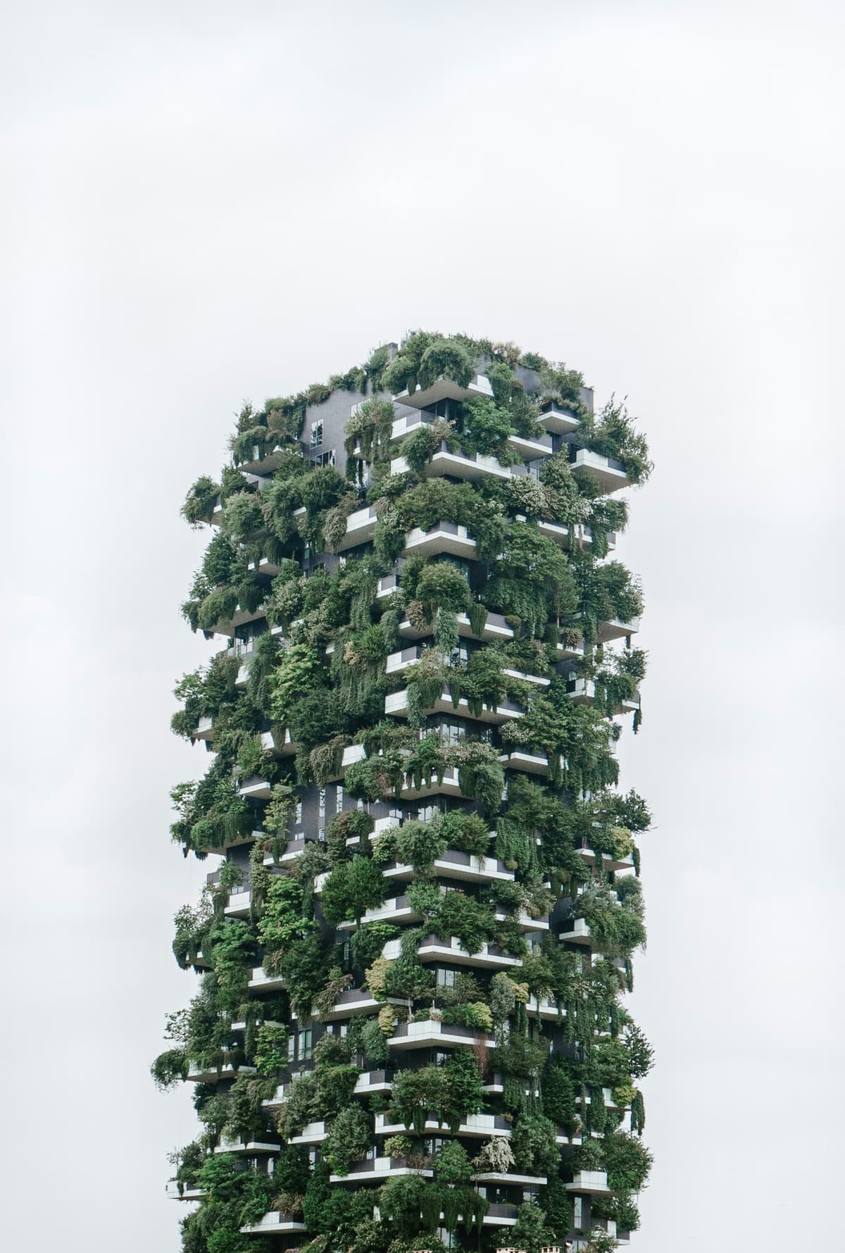 Net Zero Buildings