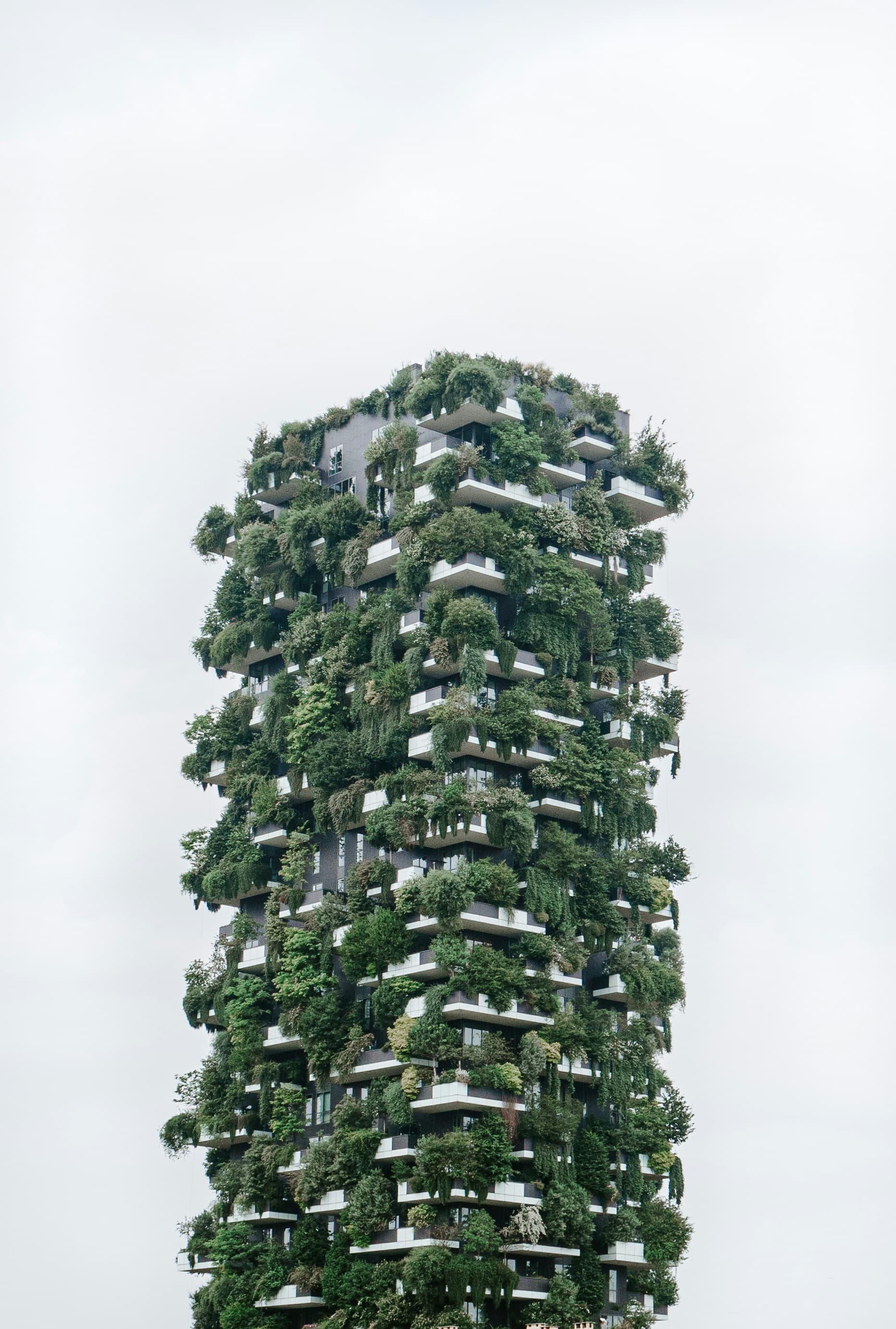 Net Zero Buildings