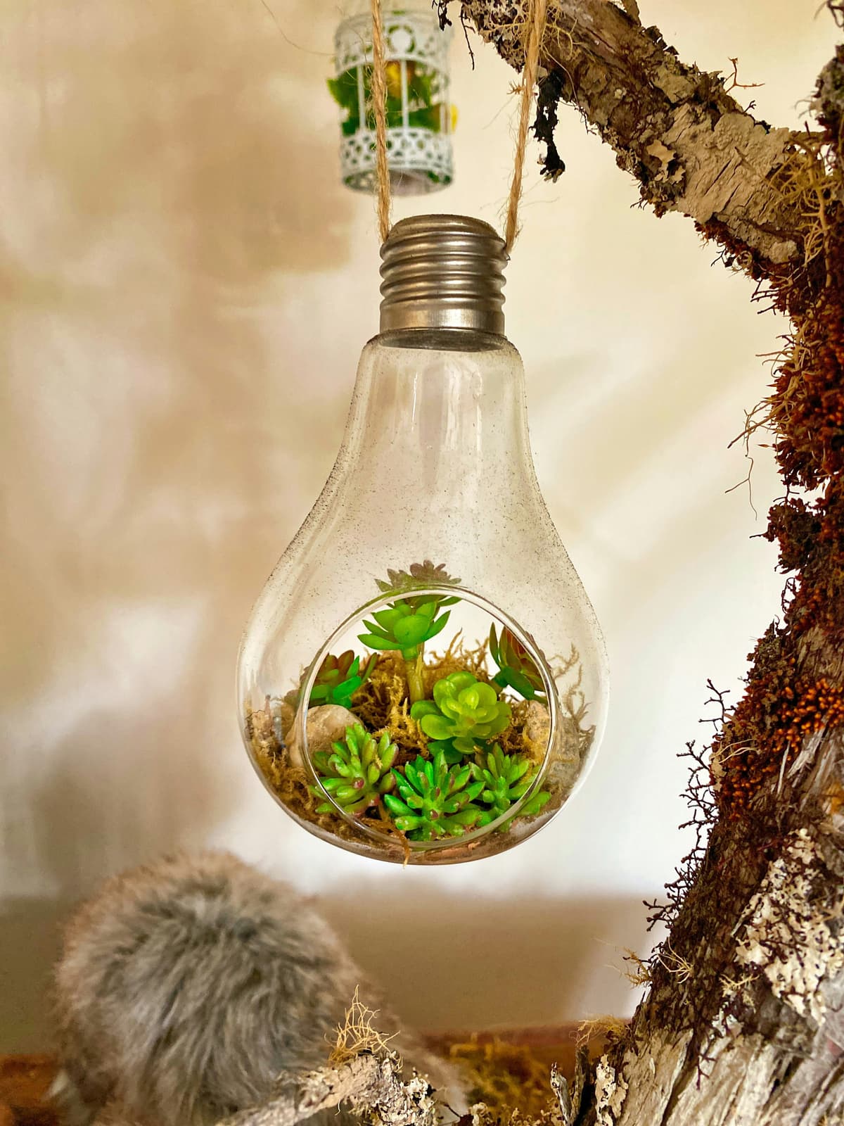 Innovative Sustainable Materials