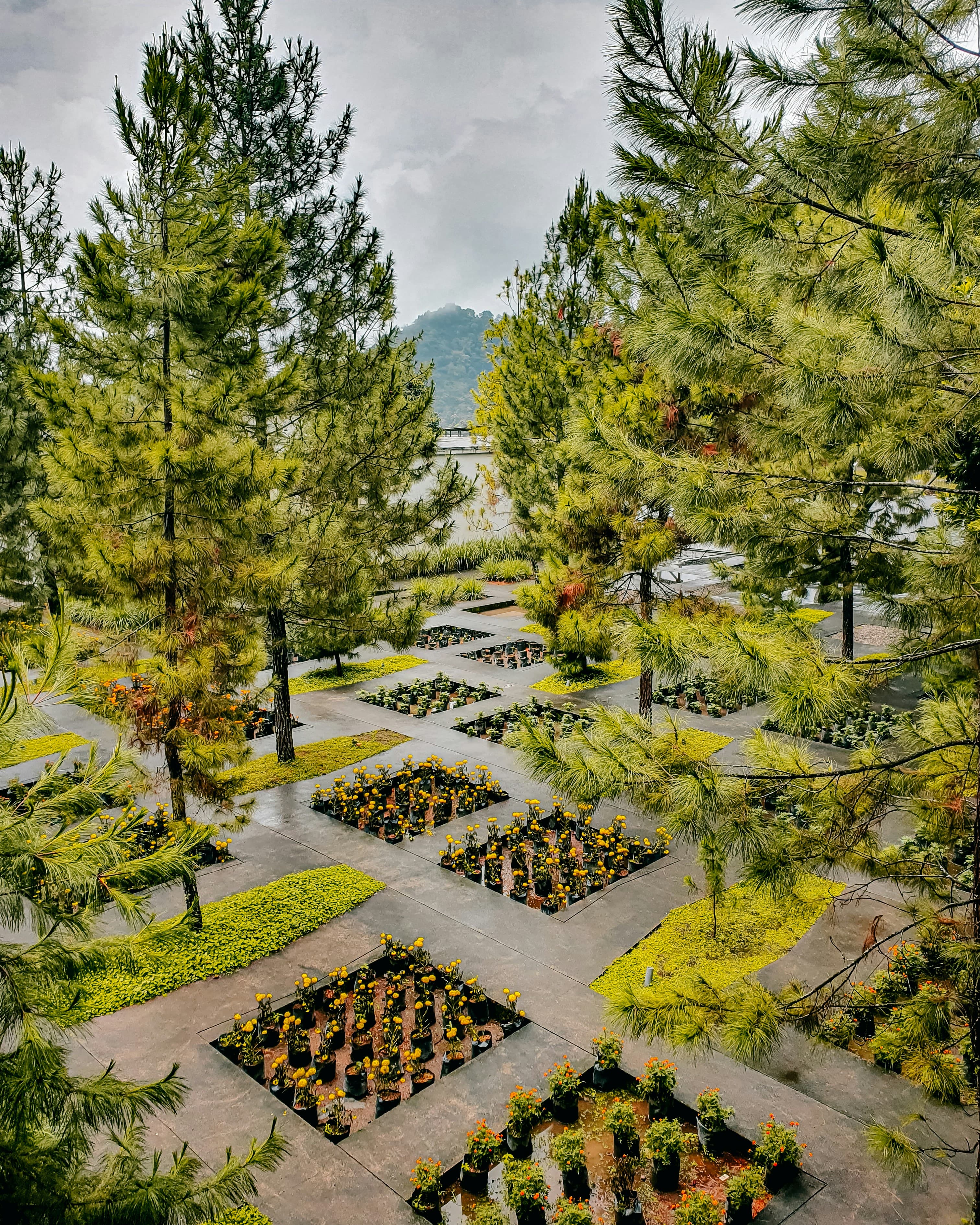 Efficient Landscaping